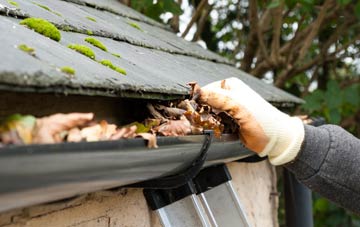 gutter cleaning Capel
